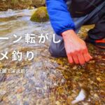 郡山周辺で【渓流釣り】ヤマメ・イワナは…スプーン転がし釣り歩記【渓流ルアー】