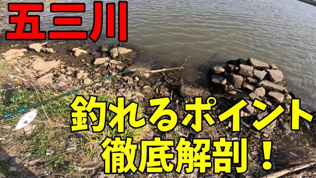 超貴重映像！五三川の釣れるポイントを徹底解剖！！【バス釣り】【シャーベットヘアーチャンネル】