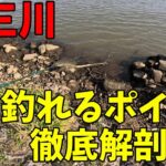 超貴重映像！五三川の釣れるポイントを徹底解剖！！【バス釣り】【シャーベットヘアーチャンネル】