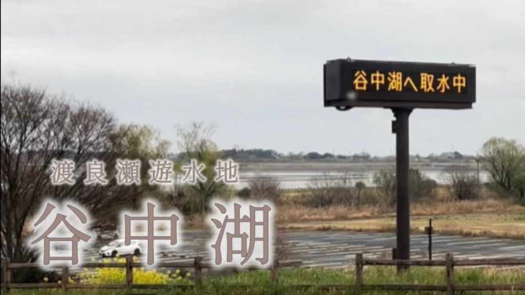 雨の中で挑む谷中湖！干し揚げ後の釣課を公開！