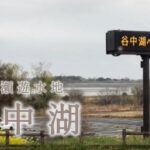 雨の中で挑む谷中湖！干し揚げ後の釣課を公開！