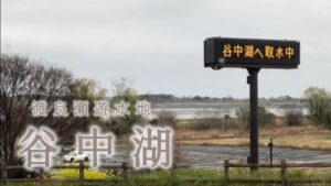 雨の中で挑む谷中湖!干し揚げ後の釣課を公開!