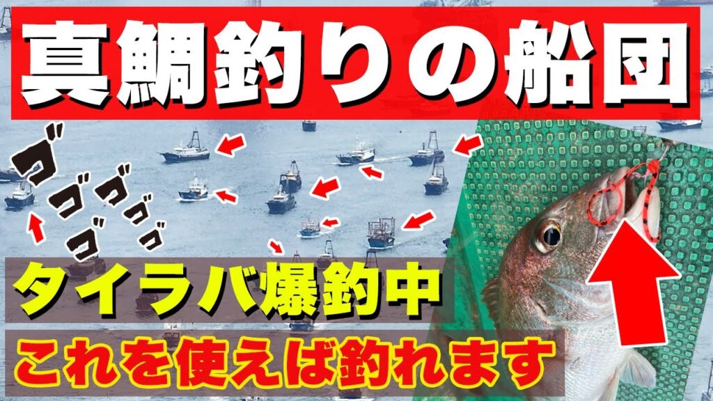 【タイラバ爆釣中】これを使えば絶対に釣れます。春の真鯛釣りは荒食いモード、この時期の攻略法を徹底解説します。