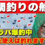 【タイラバ爆釣中】これを使えば絶対に釣れます。春の真鯛釣りは荒食いモード、この時期の攻略法を徹底解説します。