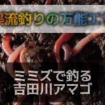 渓流釣りの万能エサ。ミミズで釣る吉田川アマゴ。
