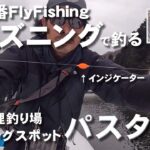 老舗管理釣り場フィッシングスポット【パスタイム】を【ルースニング】で釣るフライパターン【新潟フライフィッシング】