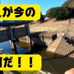 【宮城県釣り】これが今の⚪︎沼だ！