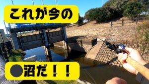 【宮城県釣り】これが今の⚪︎沼だ!