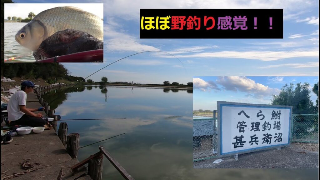 【甚兵衛沼】初釣行！！野釣りと変わらない！？
