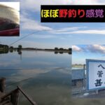 【甚兵衛沼】初釣行！！野釣りと変わらない！？