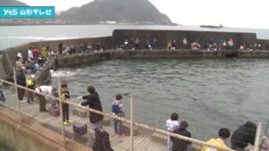 海の釣り堀オープン!釣果は上々