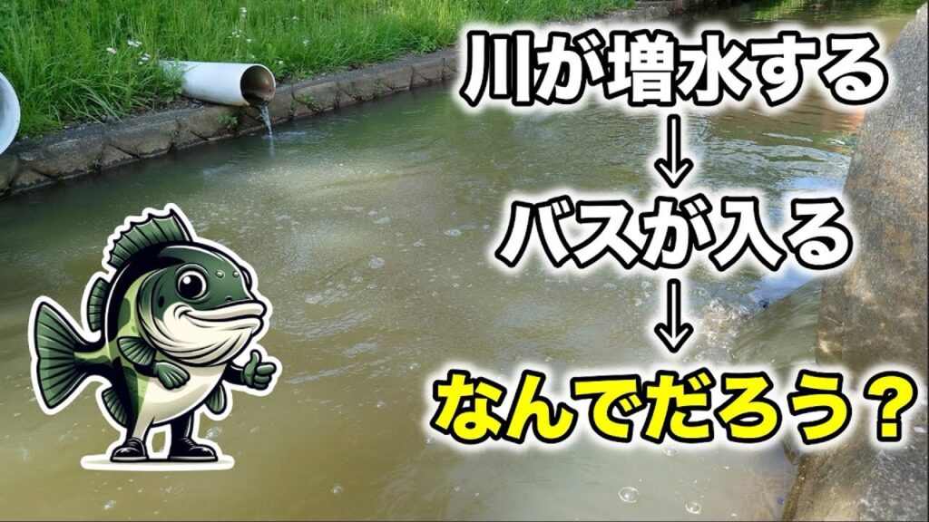 【バス釣り】川が増水するとブラックバスが釣れる理由