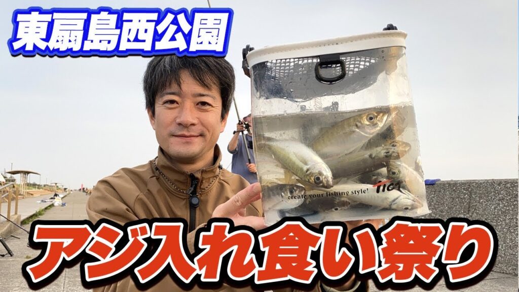 【東扇島西公園】速報！遠投サビキ釣りでアジ爆釣！いま最も安定的にアジが釣れる