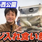 【東扇島西公園】速報！遠投サビキ釣りでアジ爆釣！いま最も安定的にアジが釣れる