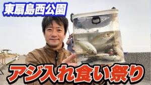 【東扇島西公園】速報！遠投サビキ釣りでアジ爆釣！いま最も安定的にアジが釣れる