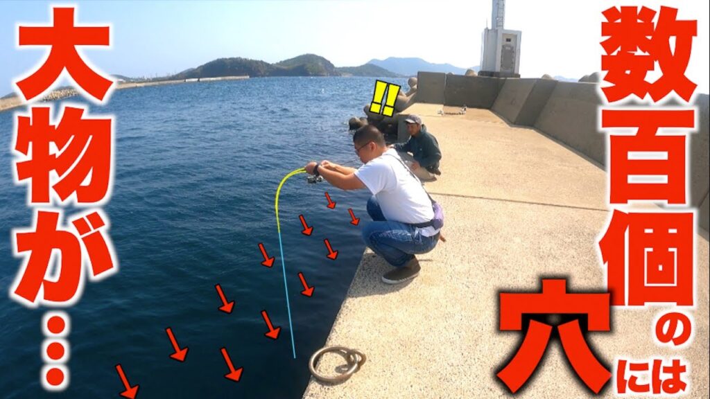 何百個もの穴に仕掛けを入れていくと普段見られないような大物が釣れた！！