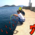 何百個もの穴に仕掛けを入れていくと普段見られないような大物が釣れた！！