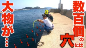 何百個もの穴に仕掛けを入れていくと普段見られないような大物が釣れた！！