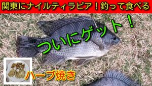 【手賀沼】ナイルティラピアを釣り捌いて食べる!ハーブ焼き