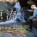 釣れないから源流行ってみよ！【渓流釣り】