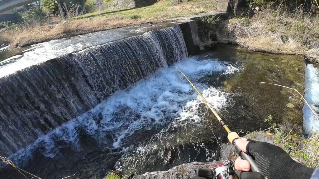 笹子川で魚釣り！