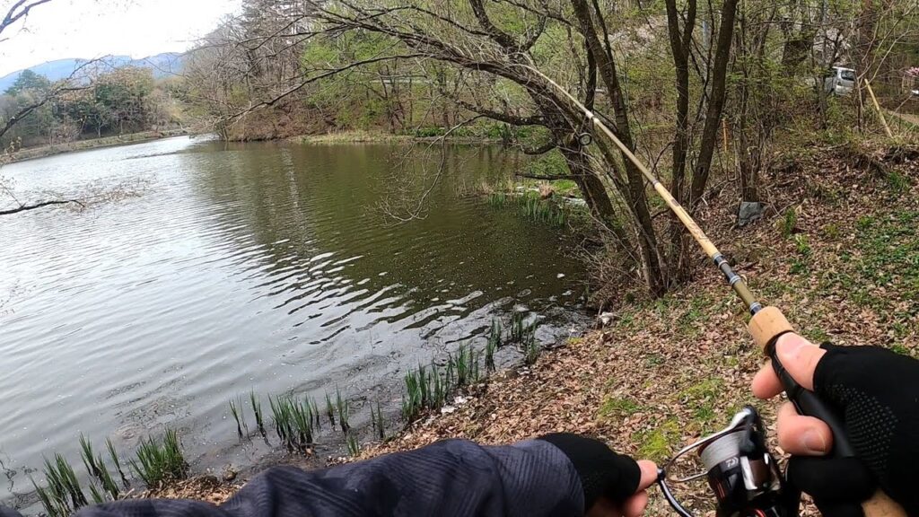 最近 ルアー釣りが解禁されたあの湖を探索！