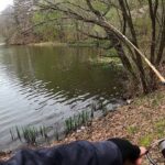 最近 ルアー釣りが解禁されたあの湖を探索！