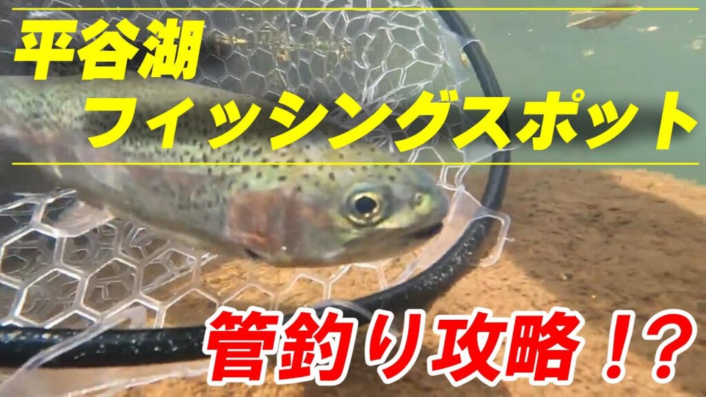 平谷湖フィッシングスポット 管釣り攻略！？
