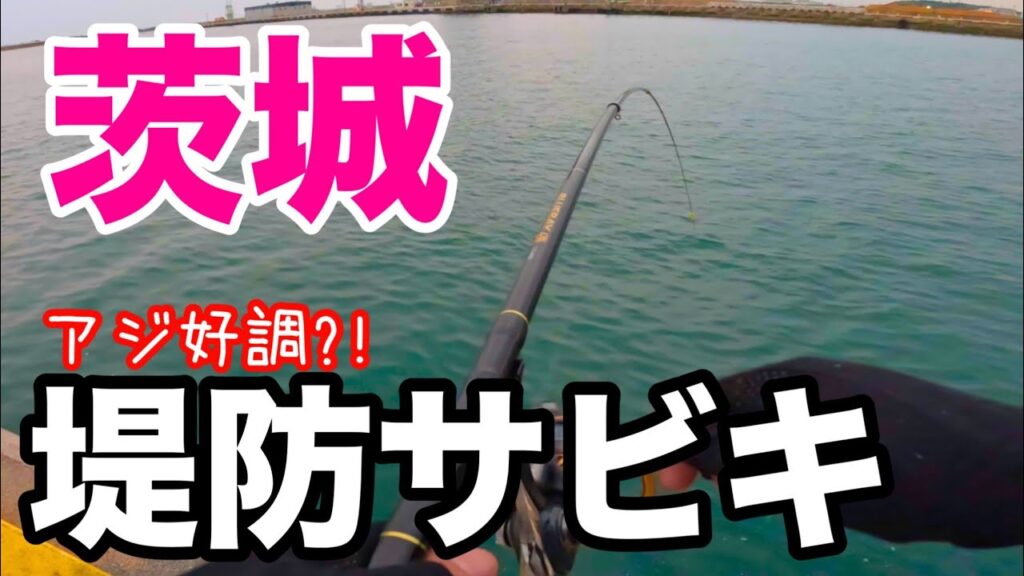 茨城の漁港でアジ好調？堤防サビキしてみた結果、、、