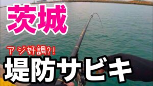 茨城の漁港でアジ好調?堤防サビキしてみた結果、、、