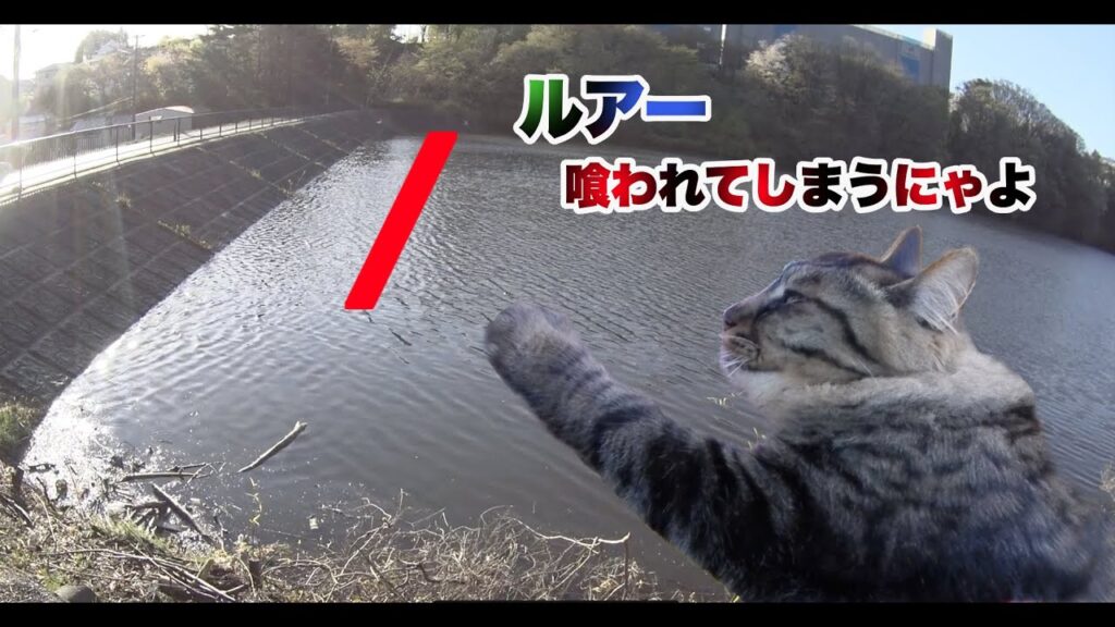 ひょうたん沼に釣り行って来ました