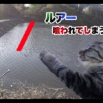 ひょうたん沼に釣り行って来ました