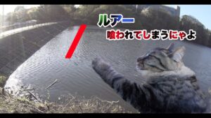 ひょうたん沼に釣り行って来ました