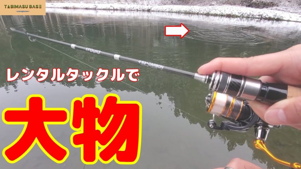 レンタルタックル(トラルド×ネジング)で大物を釣る動画【管理釣り場】【エリアトラウト】