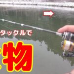 レンタルタックル(トラルド×ネジング)で大物を釣る動画【管理釣り場】【エリアトラウト】