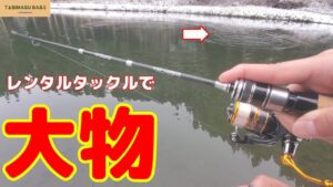 レンタルタックル(トラルド×ネジング)で大物を釣る動画【管理釣り場】【エリアトラウト】