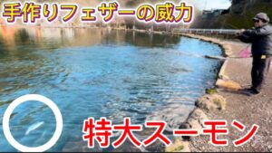 「誰も投げてないルアー」大型スーモンが襲い掛かる‼️【エリアトラウト】【管理釣り場】