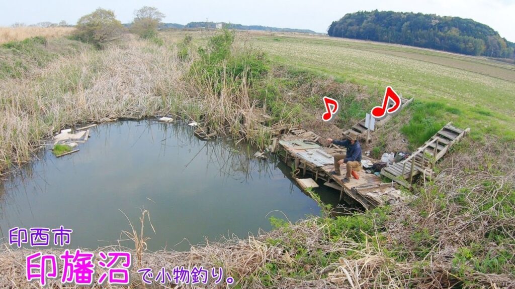 春の印旛で良い場所見つけた！ 良型〇〇連発～♪  印西市 印旛沼で小物釣り。