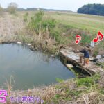 春の印旛で良い場所見つけた！ 良型〇〇連発～♪  印西市 印旛沼で小物釣り。