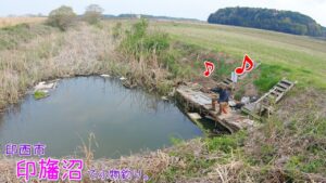 春の印旛で良い場所見つけた! 良型〇〇連発~♪ 印西市 印旛沼で小物釣り。