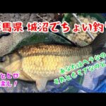 【へらぶな釣り】城沼で釣りしたけど、釣れたのはヘラブナか、マブナかわかりません😅