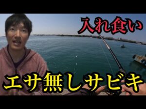 浜名湖でエサ無し投げサビキ釣りやったら…