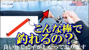 管理釣り場初心者でも爆釣できる【ただの棒】が凄かった!@高島の泉 結局これが最強ルアーかもしれない