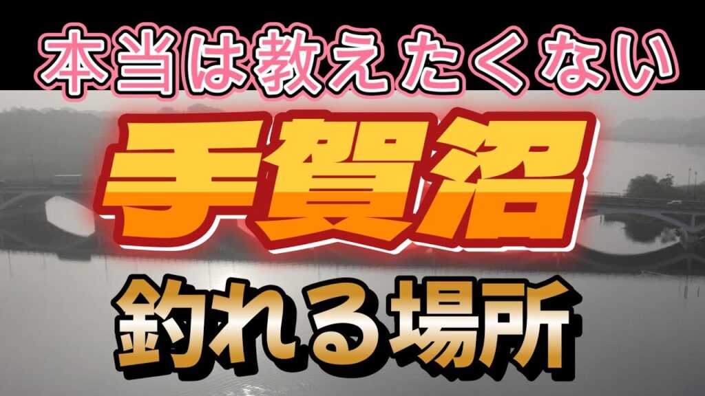 【手賀沼バス釣り】完全攻略　手賀沼でブラックバスが釣れる場所一覧