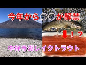2023中禅寺湖釣行に向けて【レイクトラウト】