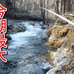 【渓流釣り】深場には良型が潜んでいました