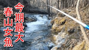 【渓流釣り】深場には良型が潜んでいました