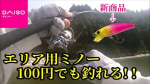 【実釣インプレ】ダイソーの新商品「エリア用ミノー」でエリアトラウト攻略！！　特徴や実際の使用感も解説していきます！！【ダイソー釣具】【管理釣り場】【ニジマス】