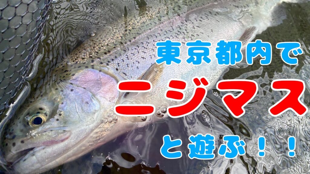 弁慶堀でニジマスと遊べ！【管理釣り場】