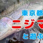 弁慶堀でニジマスと遊べ！【管理釣り場】